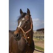 Norton Licol Soft Nylon Orange Norton Licol Soft Nylon Orange