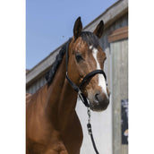 Norton Licol Satine Noir Norton Licol Satine Noir