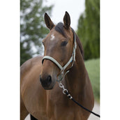 Norton Licol Satine Olive Norton Licol Satine Olive