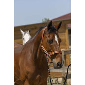 Norton Licol Satine Corail/Noir Norton Licol Satine Corail/Noir