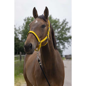 Norton Licol Satine Miel Norton Licol Satine Miel