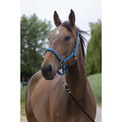 Norton Licol Satine Vert Bleu Norton Licol Satine Vert Bleu