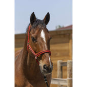 Norton Licol Satine Rouge/Noir Norton Licol Satine Rouge/Noir