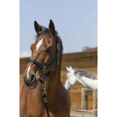 Norton Licol Satine Vert Foncé/Noir Norton Licol Satine Vert Foncé/Noir