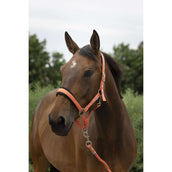 Norton Ensemble Licol Large Corail Norton Ensemble Licol Large Corail