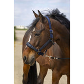 EQUITHÈME Licol Strass Nylon Marin EQUITHÈME Licol Strass Nylon Marin