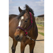 EQUITHÈME Licol Strass Nylon Bordeaux EQUITHÈME Licol Strass Nylon Bordeaux