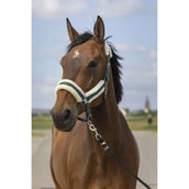 EQUITHÈME Licol Mouton Nylon Vert/Blanc EQUITHÈME Licol Mouton Nylon Vert/Blanc