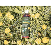 Ravene Shampooing Émouchine Protec Ravene Shampooing Émouchine Protec