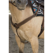 Westride Collier de Chasse Billy Choco Westride Collier de Chasse Billy Choco