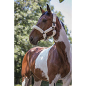 Norton Licol Full Mouton Synthétique Ecru/Choco Norton Licol Full Mouton Synthétique Ecru/Choco