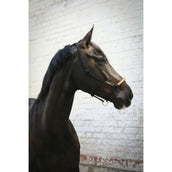 Pénélope Licol en Corde Western Pénélope Licol en Corde Western