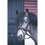 Eden By Pénélope Bride Eden Noir Eden By Pénélope Bride Eden Noir