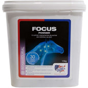 Equine America Focus Equine America Focus