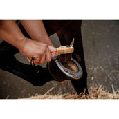 Grooming Deluxe by Kentucky Cure-Pied Grooming Deluxe by Kentucky Cure-Pied