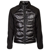 Harry's Horse Veste Softshell Liciano Padded Noir Harry's Horse Veste Softshell Liciano Padded Noir