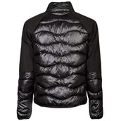 Harry's Horse Veste Softshell Liciano Padded Noir Harry's Horse Veste Softshell Liciano Padded Noir