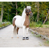 HB Cloches d'Obstacles Zebra Noir/Blanc HB Cloches d'Obstacles Zebra Noir/Blanc