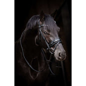 HB Bridon Showtime Evalira Bleu/Noir HB Bridon Showtime Evalira Bleu/Noir