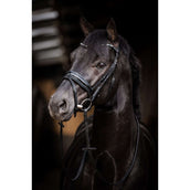 HB Bridon Showtime Evalira Bleu/Noir HB Bridon Showtime Evalira Bleu/Noir