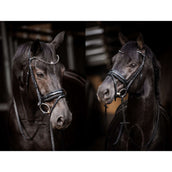 HB Bridon Showtime Evalira Bleu/Noir HB Bridon Showtime Evalira Bleu/Noir