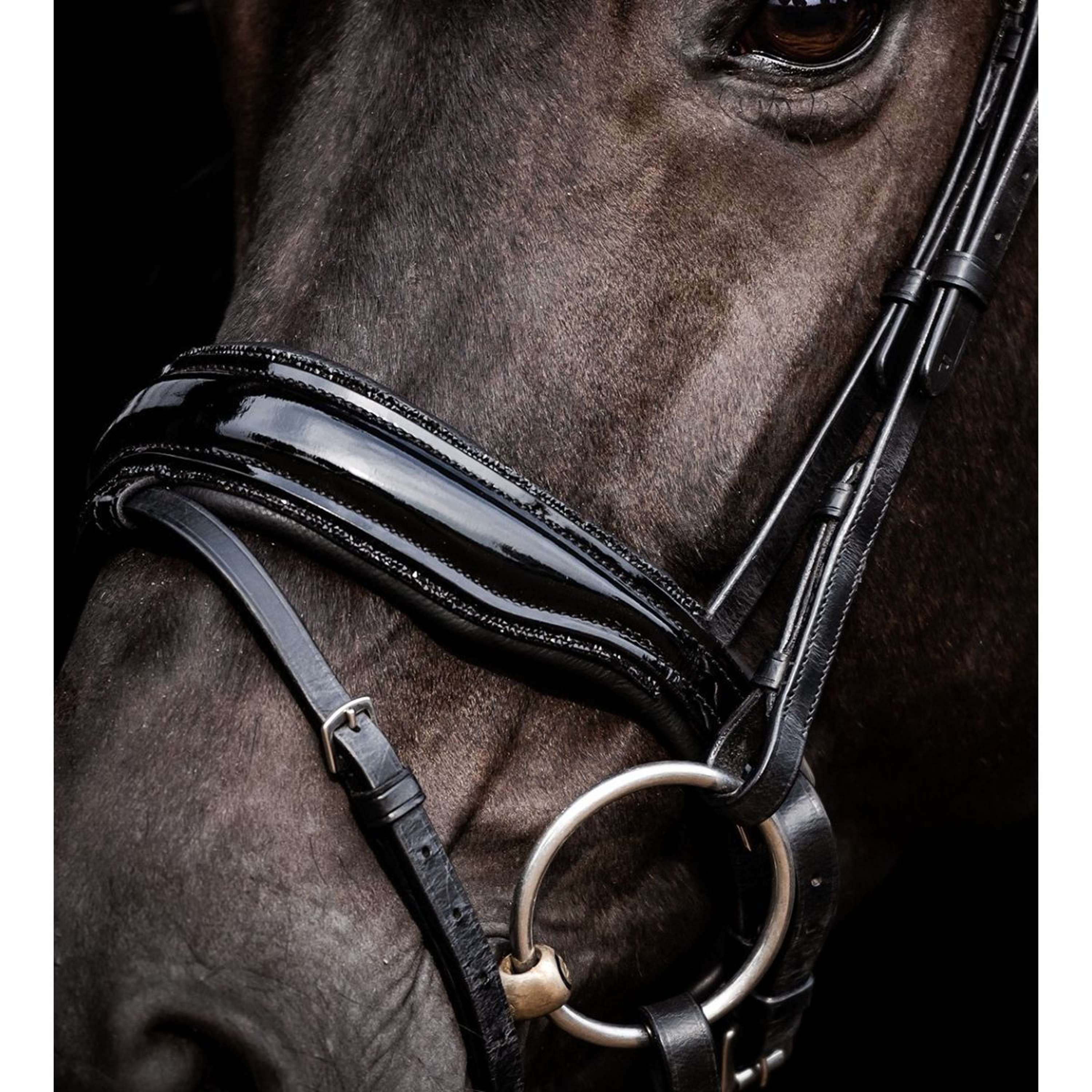 Le filet anatomique - Sélectionner le meilleur pour votre cheval Le filet anatomique - Sélectionner le meilleur pour votre cheval
