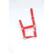 HB Licol pour Poulain Astrid Rouge HB Licol pour Poulain Astrid Rouge