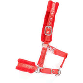 HB Licol Glamour Rouge HB Licol Glamour Rouge