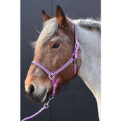 HB Licol Diamonds Collection Lilas HB Licol Diamonds Collection Lilas