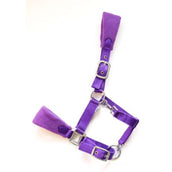 HB Licol Bellwood Fleece Violet HB Licol Bellwood Fleece Violet