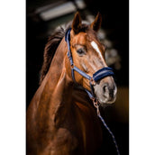 HB Licol Europa Rose Marin HB Licol Europa Rose Marin