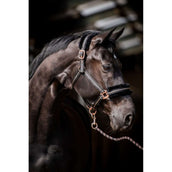 HB Licol Europa Rose Noir HB Licol Europa Rose Noir