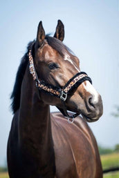 HB Licol Leopard Fur Imprimé Leopard HB Licol Leopard Fur Imprimé Leopard