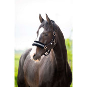 HB Licol Zebra Noir/Blanc HB Licol Zebra Noir/Blanc