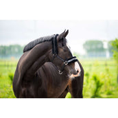 HB Licol Zebra Noir/Blanc HB Licol Zebra Noir/Blanc