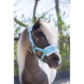HB Licol Nylon Caveçon Bleu clair HB Licol Nylon Caveçon Bleu clair