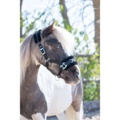 HB Licol Nylon Caveçon Noir HB Licol Nylon Caveçon Noir