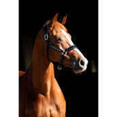 HB Showtime Licol Rivet Swarovski Cuir Noir/marine HB Showtime Licol Rivet Swarovski Cuir Noir/marine