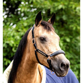 HB Licol Rose Gold Leer Noir HB Licol Rose Gold Leer Noir