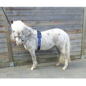 HB Surfaix de Longe Little Sizes Bleu Royal HB Surfaix de Longe Little Sizes Bleu Royal