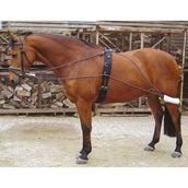 Harry's Horse Boucles pour Longe de Travail Harry's Horse Boucles pour Longe de Travail