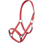 HKM Licol Brisbane Rouge HKM Licol Brisbane Rouge