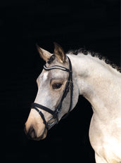 HKM Bride Little Star Noir HKM Bride Little Star Noir