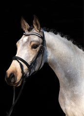 HKM Bride Little Star Noir HKM Bride Little Star Noir