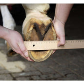 HKM Chaussure de Dépannage pour Cheval Noir HKM Chaussure de Dépannage pour Cheval Noir