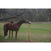 Agradi Support de Pierre à Lécher pour sur le Poteau KS pour 10kg Agradi Support de Pierre à Lécher pour sur le Poteau KS pour 10kg