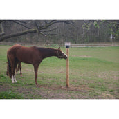 Agradi Support de Pierre à Lécher pour sur le Poteau KS pour 10kg Agradi Support de Pierre à Lécher pour sur le Poteau KS pour 10kg