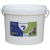 Excellent Lait pour Agneaux Top Excellent Lait pour Agneaux Top