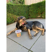 Duo Protection Duo Dog Friandise pour Chien Duo Protection Duo Dog Friandise pour Chien