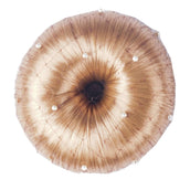 HORKA Filet Cheveux Pearl Marron HORKA Filet Cheveux Pearl Marron